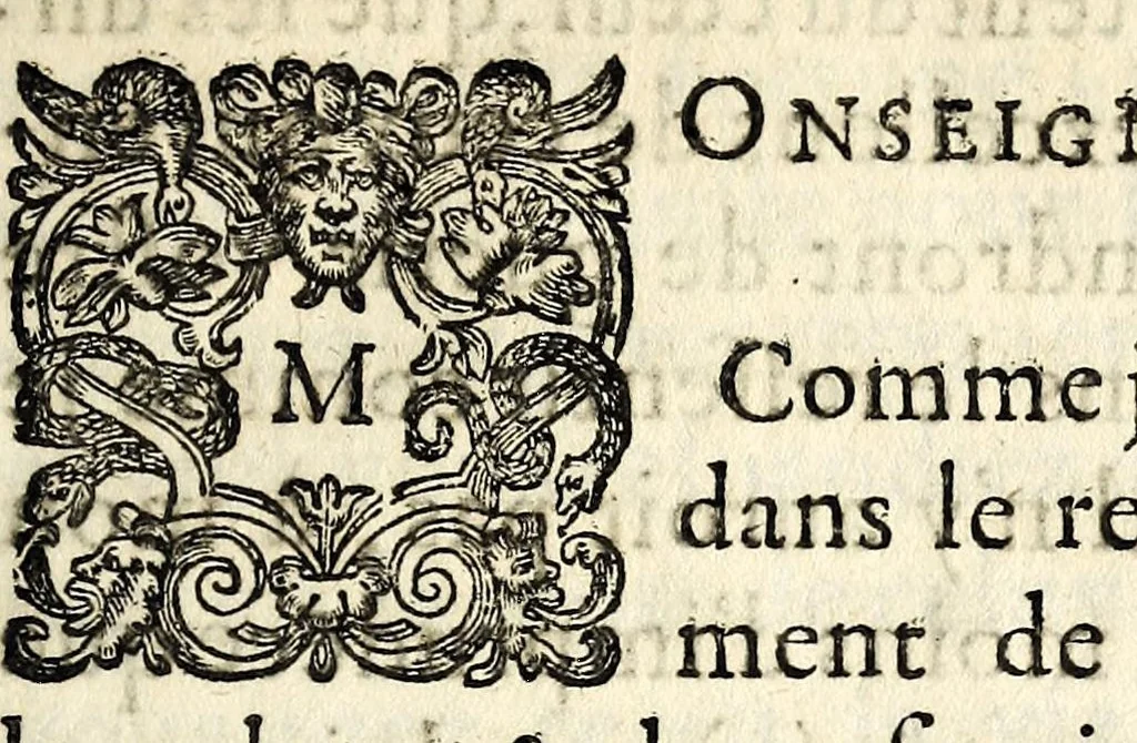 An illustration from Lettre escritte a Monsievr le Dvc d'Hallvin svr la mort de Monsievr le Mareschal de Schonberg., 1632, leaf 7