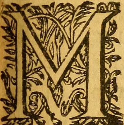 An illustration from Lettres, declarations, et manifestes de son altesse de Sauoye examinez:Historical French tracts;Historical French tracts;Historical French tracts; intentions de sa maiesté, & actions de monsieur le cardinal de Richelieu iustifiées, dans la response d'vn Bressan, à la lettre d'vn Sauoyard, 1630, leaf 8