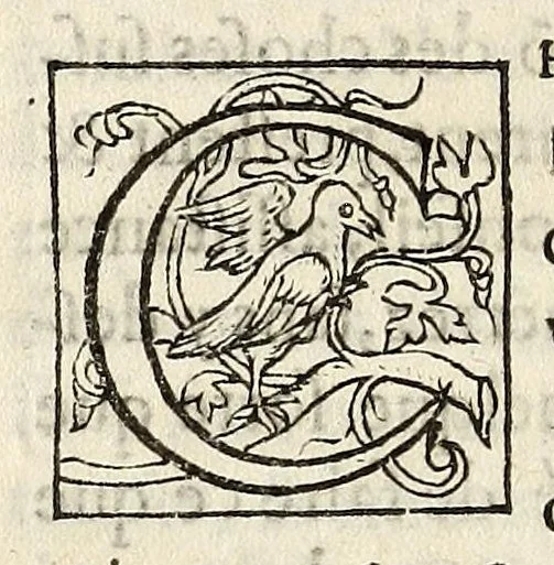 An illustration from Lettres de commission dv roy, svr l'execvtion de l'edict de la pacification des troubles de ce royaume. Auec La declaration faite par le roy, pour apres le depart de sa Maieste des villes où l'exercice de la religion reformee estoit, le reprendre & continuer., 1564, leaf 20