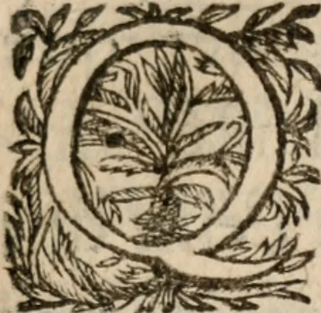 An illustration from Lettres de monsieur de Balzac, 1626, leaf 136
