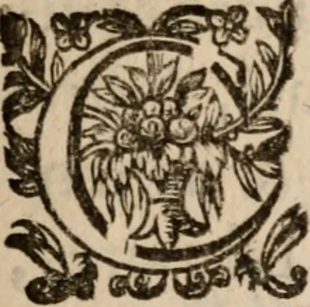 An illustration from Lettres de monsieur de Balzac, 1626, leaf 34