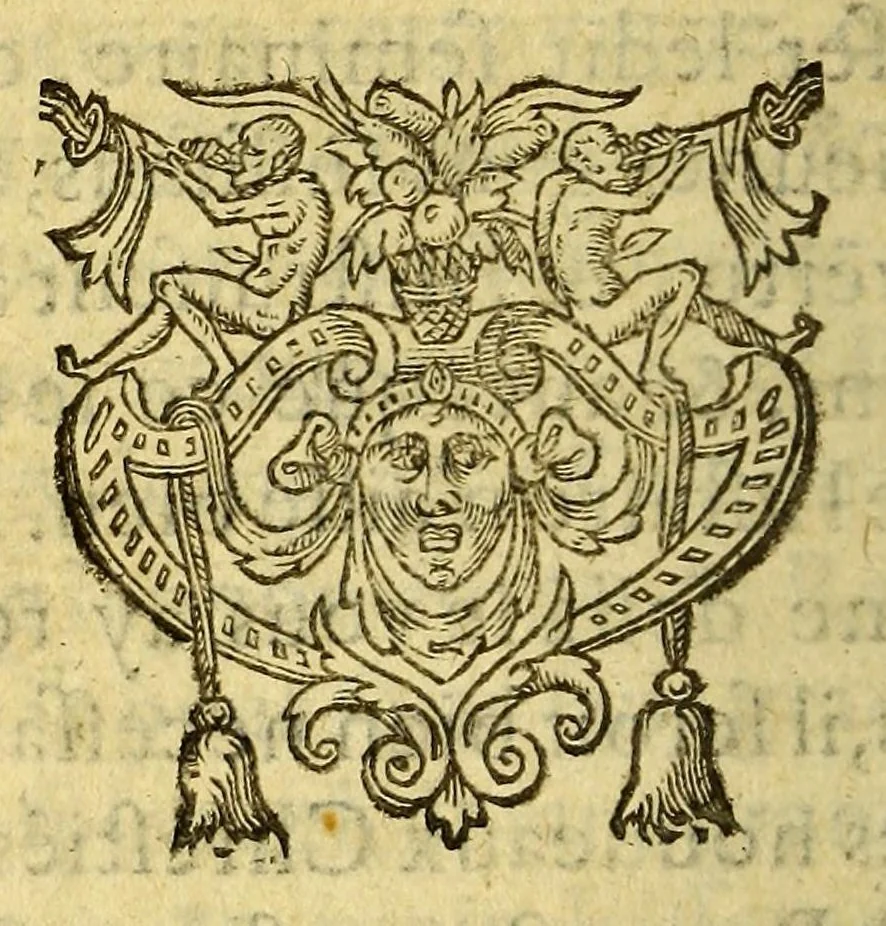 An illustration from Lettres du Iappon, Peru et Brasil, 1578, leaf 24