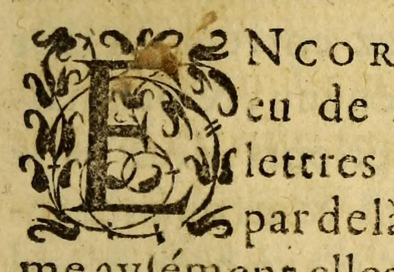An illustration from Lettres du Iappon, Peru et Brasil, 1578, leaf 9