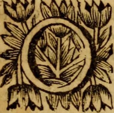 An illustration from Lettres d'un theologien à un de ses amis a l'occasion du Probleme ecclesiastique adressé a Mr. l'Abbé Boileau, 1700, leaf 6