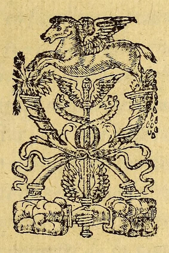 An illustration from Lettres dv chevalier de Villegaignon, svr les Remonstrances, a la royne mere dv roy sa souueraine dame, 1561, leaf 5