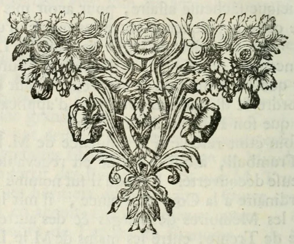An illustration from Lettres et memoires de François de Vargas, de Pierre de Malvenda, et de quelques évêques e'Espagne touchant le Concile de Trent, 1699, leaf 28