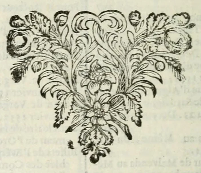 An illustration from Lettres et memoires de François de Vargas, de Pierre de Malvenda, et de quelques évêques e'Espagne touchant le Concile de Trent, 1699, leaf 610