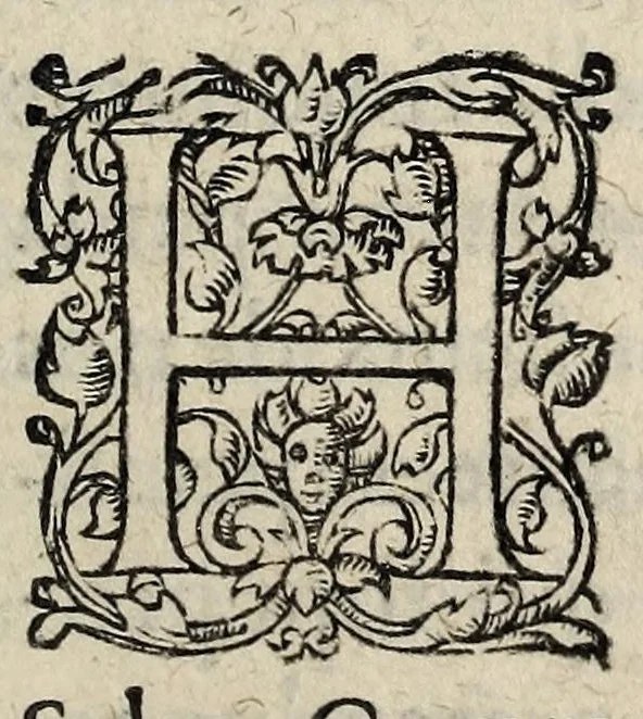 An illustration from Lettres patentes du roy, pour l'entretenement du dernier edict, de pacificatio[n], & articles arrestez, en la conference de Nerac: & pour faire saisir les biens de ceux qui se sont esleuez en armes, contre la teneur dudict edict & articles : publié en parlement le sixième iour de Iuin, 1580., 1580, leaf 3