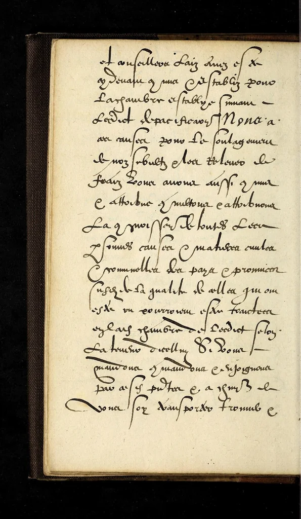 An illustration from Lettres patentes dv Roy, povr l'institution & ouuerture des grãds iours en la ville de Poictiers, pour ceste presente annee: et les seneschaussees, bailliages, & gouuernement, y resortissans. Et de l'authorité & temps d'iceux., 1579, leaf 26