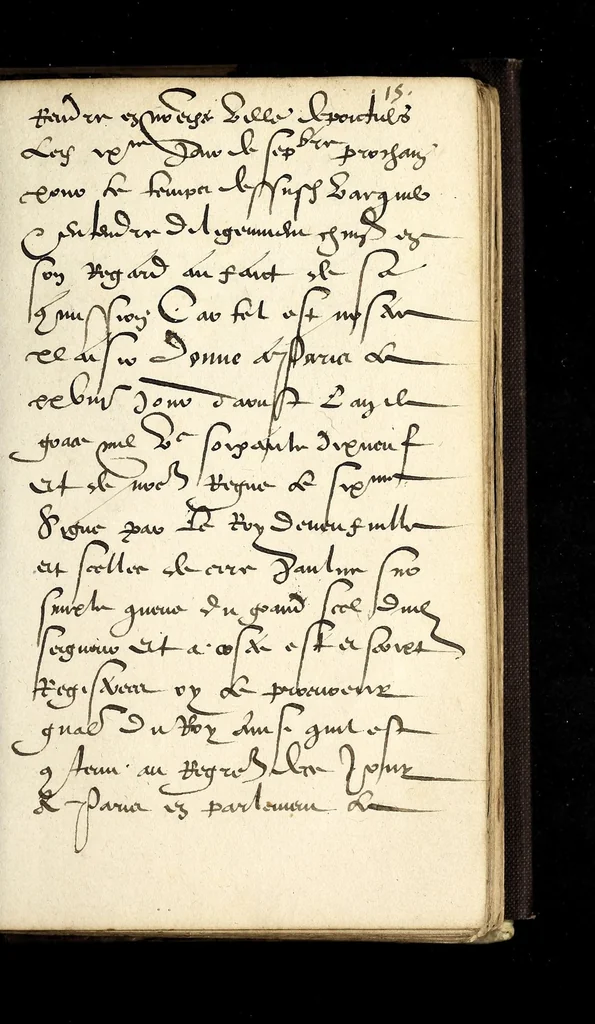 An illustration from Lettres patentes dv Roy, povr l'institution & ouuerture des grãds iours en la ville de Poictiers, pour ceste presente annee: et les seneschaussees, bailliages, & gouuernement, y resortissans. Et de l'authorité & temps d'iceux., 1579, leaf 27