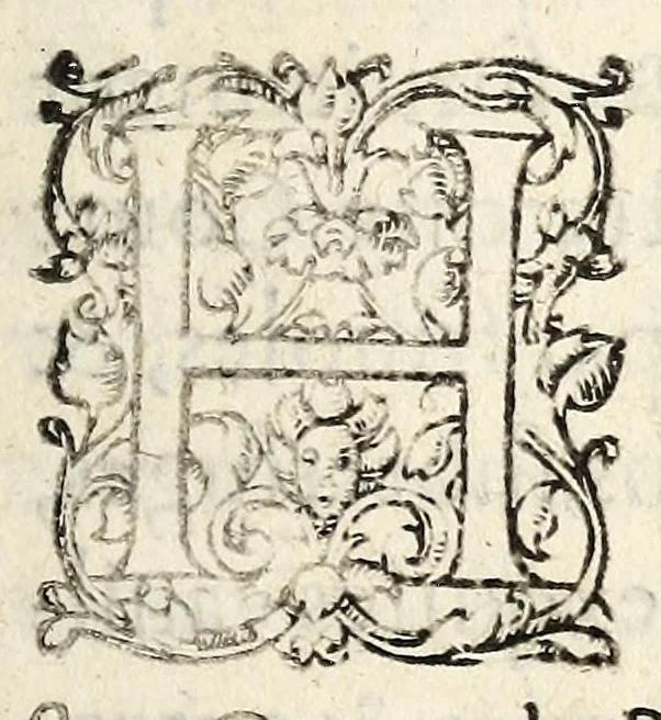 An illustration from Lettres patentes dv Roy, povr l'institution & ouuerture des grãds iours en la ville de Poictiers, pour ceste presente annee: et les seneschaussees, bailliages, & gouuernement, y resortissans. Et de l'authorité & temps d'iceux., 1579, leaf 9