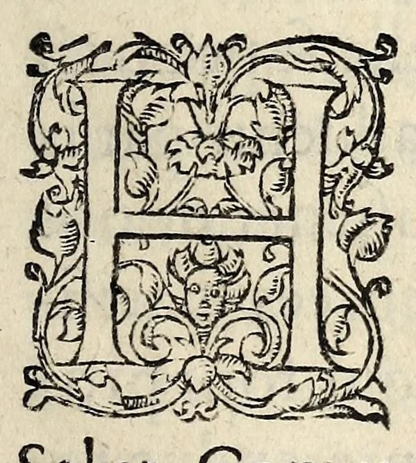 An illustration from Lettres patentes du roy, pour l'entretenement du dernier edict, de pacificatio[n], & articles arrestez, en la conference de Nerac: & pour faire saisir les biens de ceux qui se sont esleuez en armes, contre la teneur dudict edict & articles : publié en parlement le sixième iour de Iuin, 1580., 1580, leaf 3