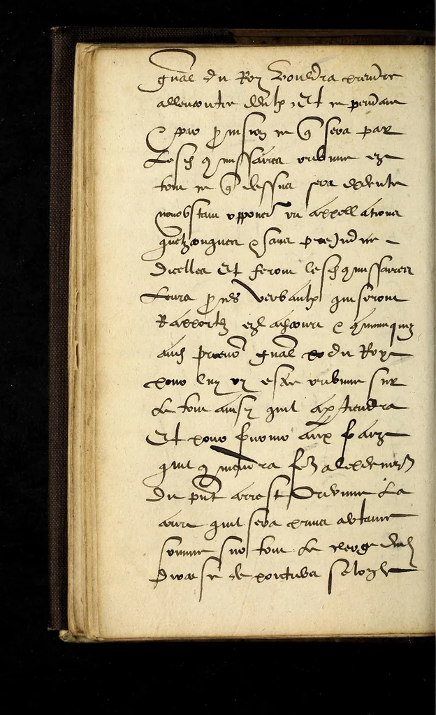 An illustration from Lettres patentes dv Roy povr la continvation des Grandz Iours en la ville de Poictiers iusques à la vueille de Noel, 1579., 1579, leaf 18