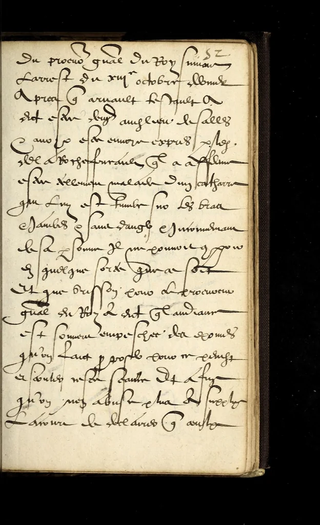 An illustration from Lettres patentes dv Roy povr la continvation des Grandz Iours en la ville de Poictiers iusques à la vueille de Noel, 1579., 1579, leaf 21