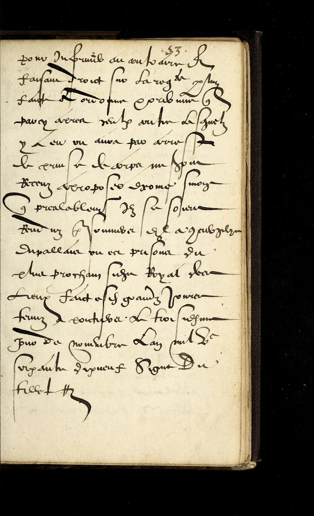 An illustration from Lettres patentes dv Roy povr la continvation des Grandz Iours en la ville de Poictiers iusques à la vueille de Noel, 1579., 1579, leaf 23
