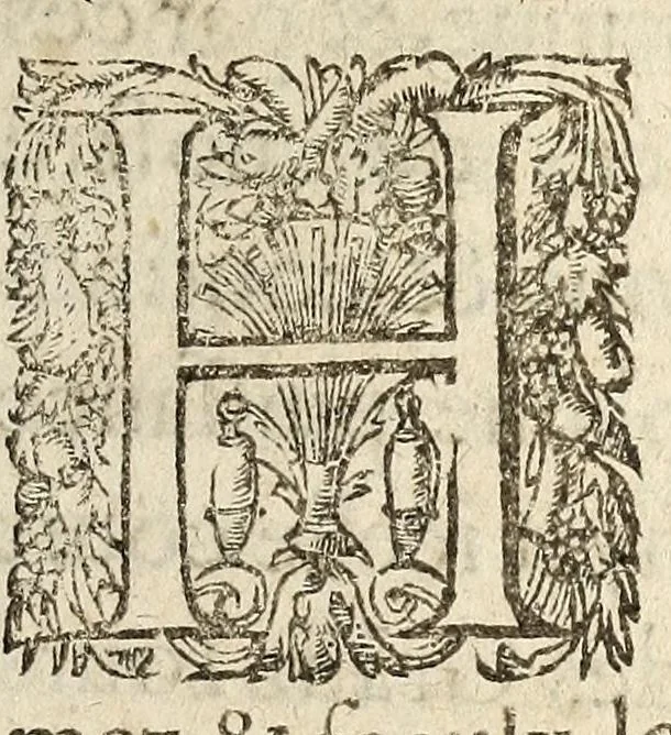 An illustration from Lettres patentes dv Roy povr la continvation des Grandz Iours en la ville de Poictiers iusques à la vueille de Noel, 1579., 1579, leaf 3