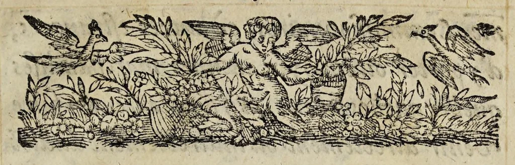 An illustration from Lettres patentes de declaration du roy, portant deffenses à tous ses subjectz de faire aucun trafficq n'y commerce au royaume d'Angleterre., 1627, leaf 7