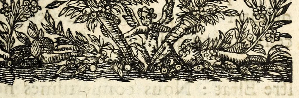 An illustration from Lettres patentes dv roy, povr le convocation de l'assemblée que Sa Majeste veut estre tenuë, à fin d'y resoudre ce qui est necessaire su bien de son estat repos & soulagement de ses subjects., 1617, leaf 3