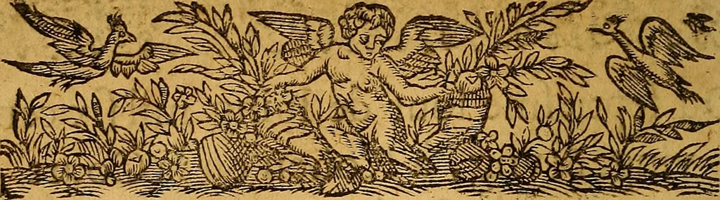 An illustration from Lettres patentes de déclaration concernants ceux de la Religion prétendue Réformée :Historical French tracts; publiée à Rouen en Parlement, le 7e jour de juin 1621, 1621, leaf 9