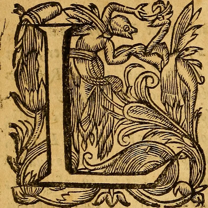 An illustration from Lettres patentes de déclaration concernants ceux de la Religion prétendue Réformée :Historical French tracts; publiée à Rouen en Parlement, le 7e jour de juin 1621, 1621, leaf 9