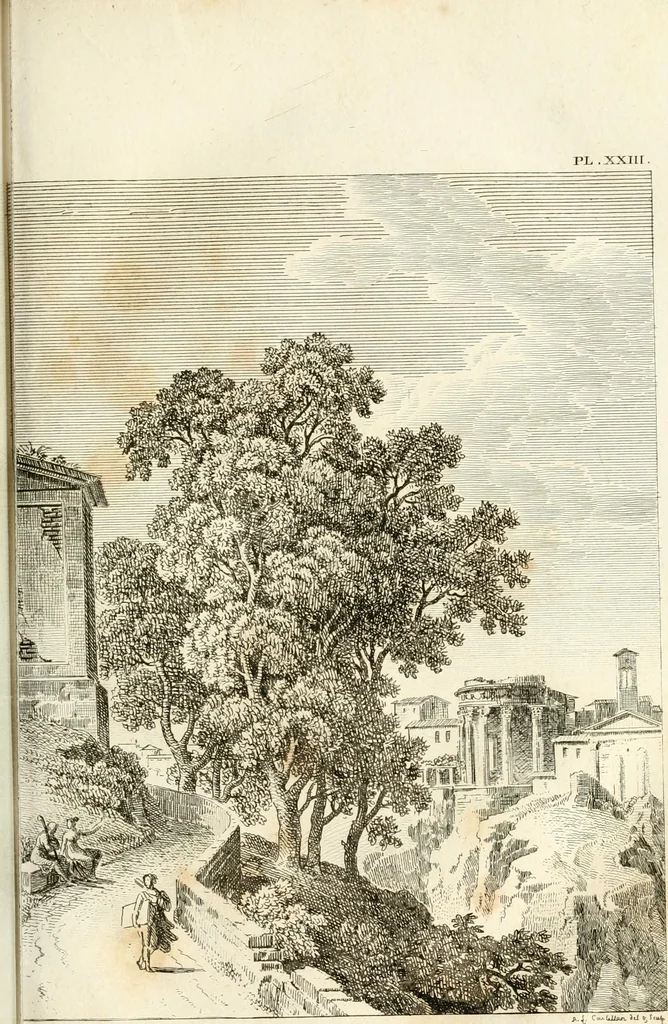 An illustration from Lettres sur l'Italie : faisant suite aux Lettres sur la Morée, l'Hellespont et Constantinople, 1819, leaf 113