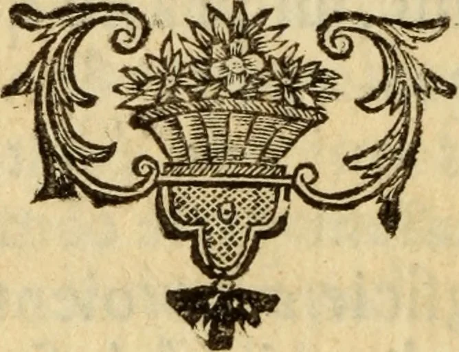 An illustration from Lettres sur l'électricité : dans lesquelles on examine les dernieres découvertes qui ont été faites sur cette matiére & les conséquences que l'on en peut tirer, 1753, leaf 265