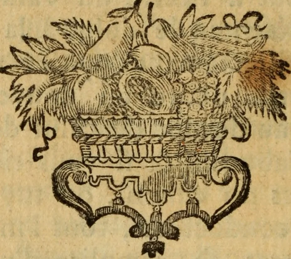An illustration from Lettres sur l'électricité : dans lesquelles on examine les dernieres découvertes qui ont été faites sur cette matiére & les conséquences que l'on en peut tirer, 1753, leaf 99