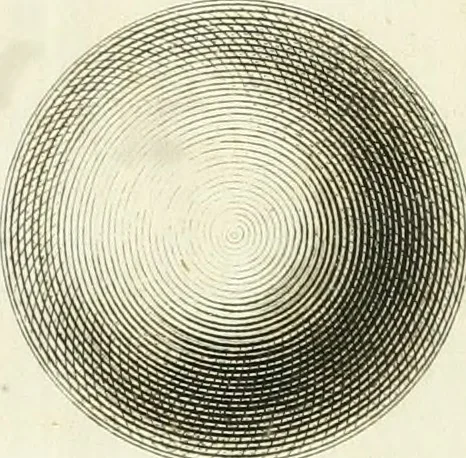 An illustration from Lettre sur la sculpture : à Monsieur Théod. de Smeth, ancien président des echevins de la ville d'Amsterdam, 1769, leaf 40