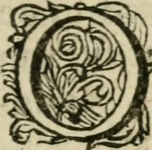 An illustration from Levendige herts-theologie, dat zijn aendachtige betrachtingen, hoe Jesus in der geloovigen herten wil woonen, werken en leven, en haar wil zijn alles in allen : met schoone, en nette print-verbeeldinge, ter sake dienende, verciert: nevens versen, suchtingen, en alleen-spraken, 1686, leaf 12
