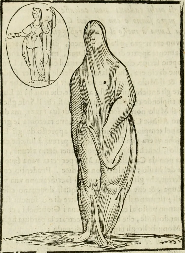 An illustration from Le vere e nove imagini de gli dei delli antichi di Vicenzo Cartari Reggiano. Ridotte da capo a piedi in questa nouissima impressione alle loro reali, & non piu per l'adietro osseruate simiglianze. Cauate da' marmi, bronzi, medaglie, gioie, & altre memorie antiche;, 1615, leaf 133
