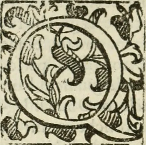 An illustration from Le vere e nove imagini de gli dei delli antichi di Vicenzo Cartari Reggiano. Ridotte da capo a piedi in questa nouissima impressione alle loro reali, & non piu per l'adietro osseruate simiglianze. Cauate da' marmi, bronzi, medaglie, gioie, & altre memorie antiche;, 1615, leaf 195