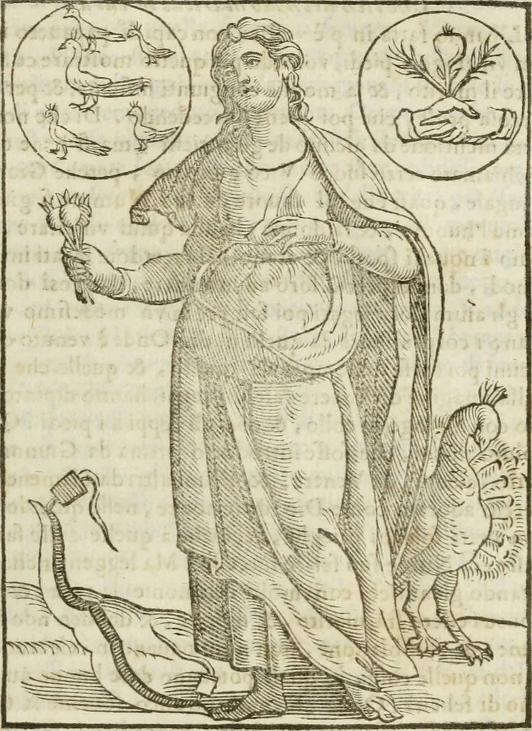 An illustration from Le vere e nove imagini de gli dei delli antichi di Vicenzo Cartari Reggiano. Ridotte da capo a piedi in questa nouissima impressione alle loro reali, & non piu per l'adietro osseruate simiglianze. Cauate da' marmi, bronzi, medaglie, gioie, & altre memorie antiche;, 1615, leaf 228