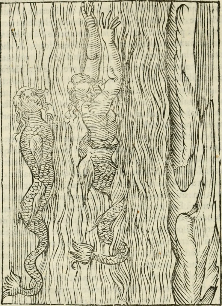 An illustration from Le vere e nove imagini de gli dei delli antichi di Vicenzo Cartari Reggiano. Ridotte da capo a piedi in questa nouissima impressione alle loro reali, & non piu per l'adietro osseruate simiglianze. Cauate da' marmi, bronzi, medaglie, gioie, & altre memorie antiche;, 1615, leaf 269