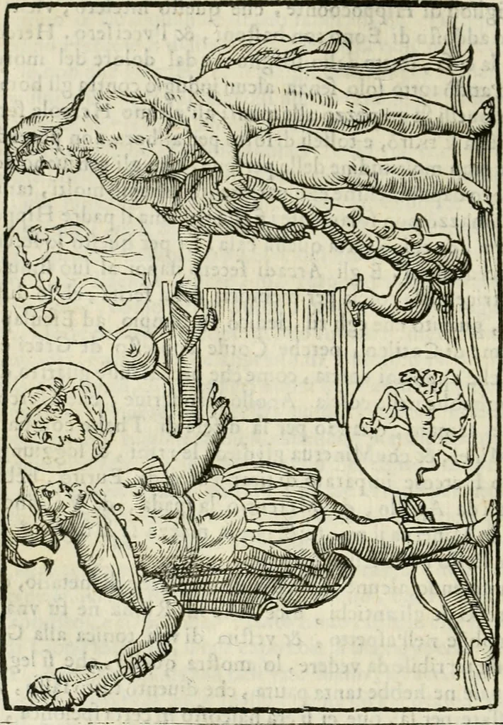 An illustration from Le vere e nove imagini de gli dei delli antichi di Vicenzo Cartari Reggiano. Ridotte da capo a piedi in questa nouissima impressione alle loro reali, & non piu per l'adietro osseruate simiglianze. Cauate da' marmi, bronzi, medaglie, gioie, & altre memorie antiche;, 1615, leaf 345