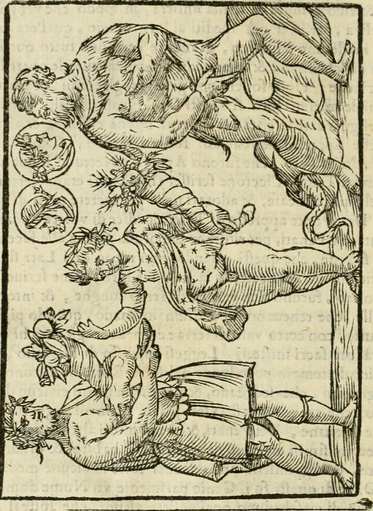 An illustration from Le vere e nove imagini de gli dei delli antichi di Vicenzo Cartari Reggiano. Ridotte da capo a piedi in questa nouissima impressione alle loro reali, & non piu per l'adietro osseruate simiglianze. Cauate da' marmi, bronzi, medaglie, gioie, & altre memorie antiche;, 1615, leaf 433