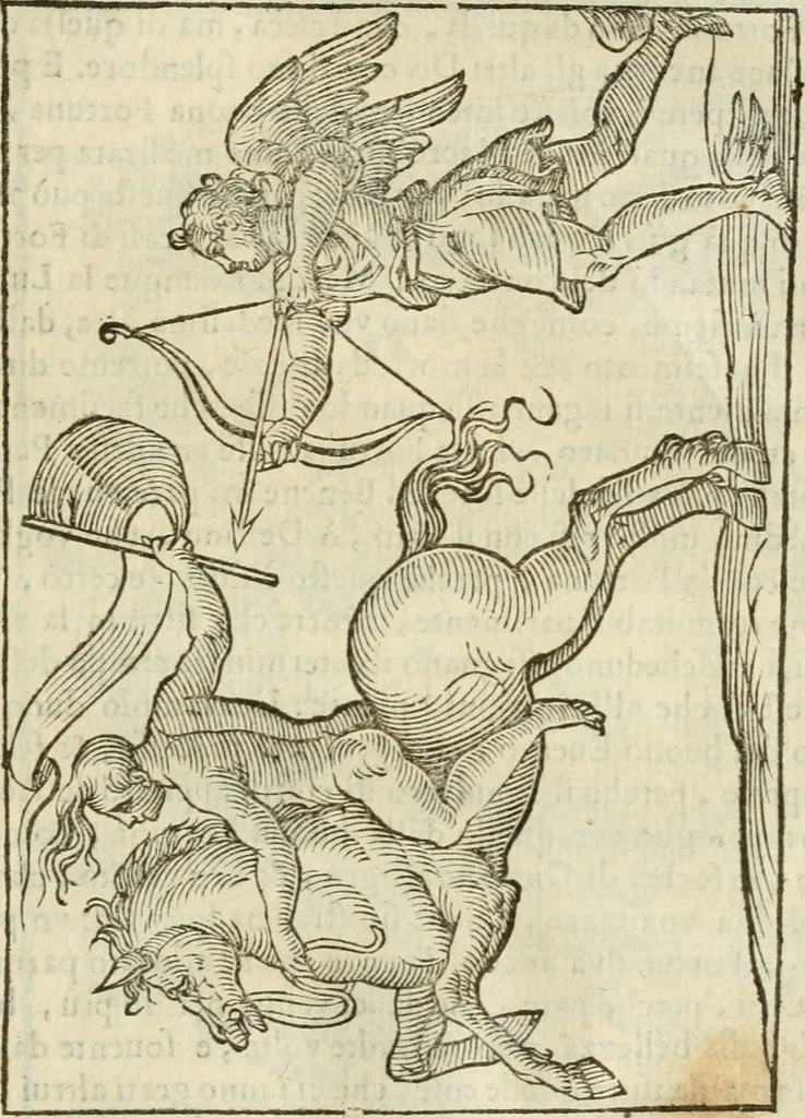 An illustration from Le vere e nove imagini de gli dei delli antichi di Vicenzo Cartari Reggiano. Ridotte da capo a piedi in questa nouissima impressione alle loro reali, & non piu per l'adietro osseruate simiglianze. Cauate da' marmi, bronzi, medaglie, gioie, & altre memorie antiche;, 1615, leaf 466