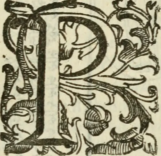 An illustration from Le vere e nove imagini de gli dei delli antichi di Vicenzo Cartari Reggiano. Ridotte da capo a piedi in questa nouissima impressione alle loro reali, & non piu per l'adietro osseruate simiglianze. Cauate da' marmi, bronzi, medaglie, gioie, & altre memorie antiche;, 1615, leaf 502