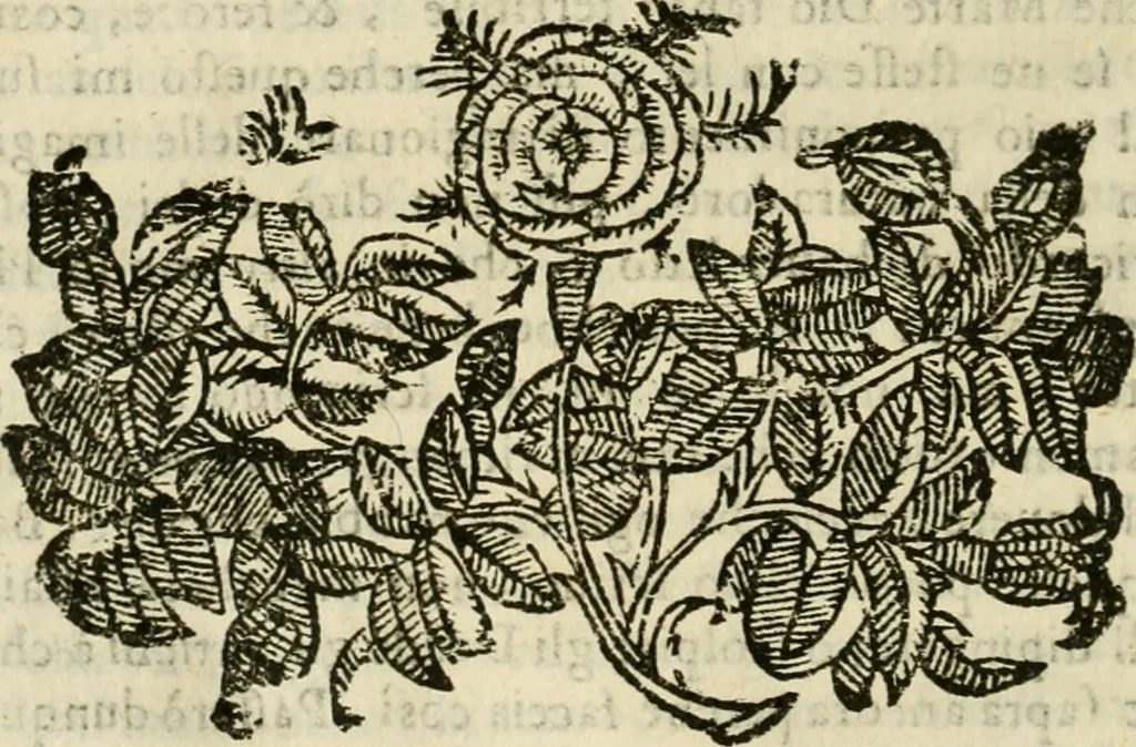An illustration from Le vere e nove imagini de gli dei delli antichi di Vicenzo Cartari Reggiano. Ridotte da capo a piedi in questa nouissima impressione alle loro reali, & non piu per l'adietro osseruate simiglianze. Cauate da' marmi, bronzi, medaglie, gioie, & altre memorie antiche;, 1615, leaf 525