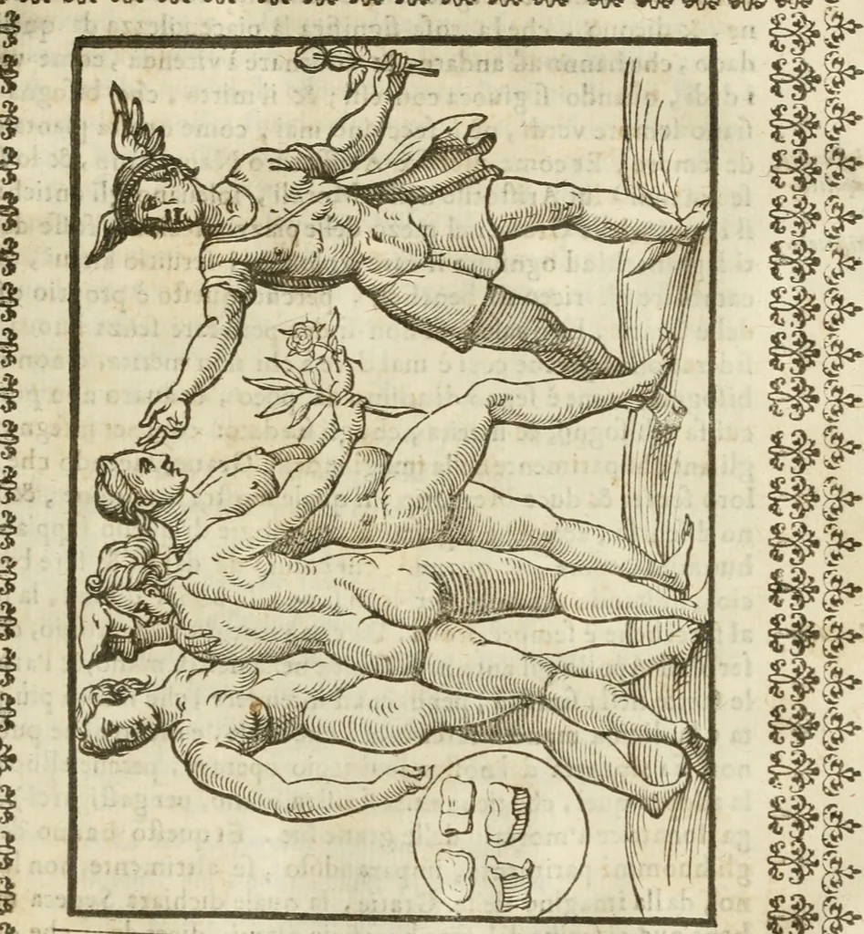 An illustration from Le vere e nove imagini de gli dei delli antichi di Vicenzo Cartari Reggiano. Ridotte da capo a piedi in questa nouissima impressione alle loro reali, & non piu per l'adietro osseruate simiglianze. Cauate da' marmi, bronzi, medaglie, gioie, & altre memorie antiche;, 1615, leaf 532