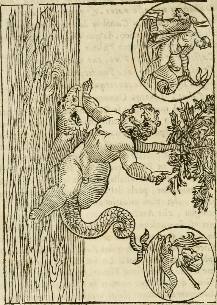 An illustration from Le vere e nove imagini de gli dei delli antichi di Vicenzo Cartari Reggiano. Ridotte da capo a piedi in questa nouissima impressione alle loro reali, & non piu per l'adietro osseruate simiglianze. Cauate da' marmi, bronzi, medaglie, gioie, & altre memorie antiche;, 1615, leaf 569