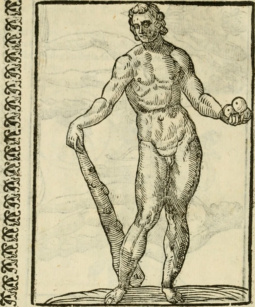 An illustration from Le vere e nove imagini de gli dei delli antichi di Vicenzo Cartari Reggiano. Ridotte da capo a piedi in questa nouissima impressione alle loro reali, & non piu per l'adietro osseruate simiglianze. Cauate da' marmi, bronzi, medaglie, gioie, & altre memorie antiche;, 1615, leaf 583