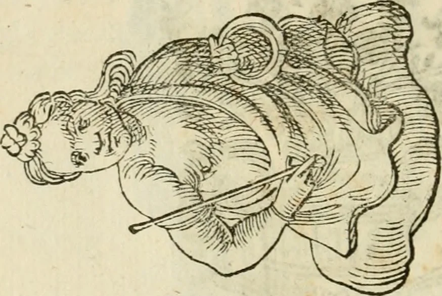 An illustration from Le vere e nove imagini de gli dei delli antichi di Vicenzo Cartari Reggiano. Ridotte da capo a piedi in questa nouissima impressione alle loro reali, & non piu per l'adietro osseruate simiglianze. Cauate da' marmi, bronzi, medaglie, gioie, & altre memorie antiche;, 1615, leaf 659