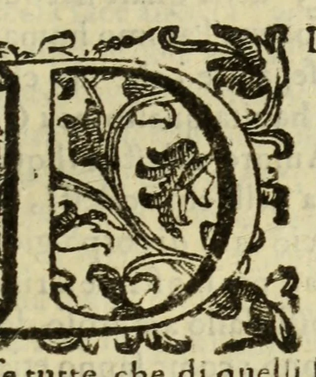 An illustration from Le vere e nove imagini de gli dei delli antichi, 1615, leaf 479