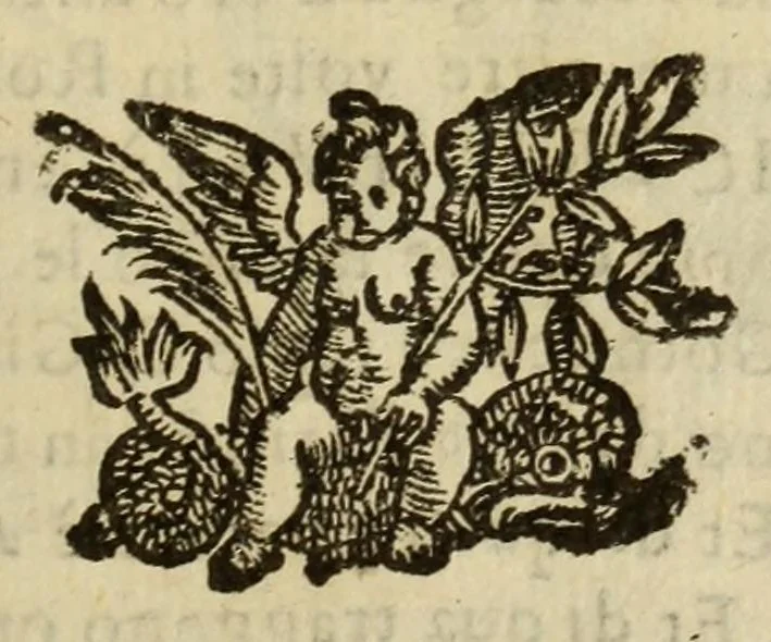 An illustration from Le vere e nove imagini de gli dei delli antichi, 1615, leaf 581
