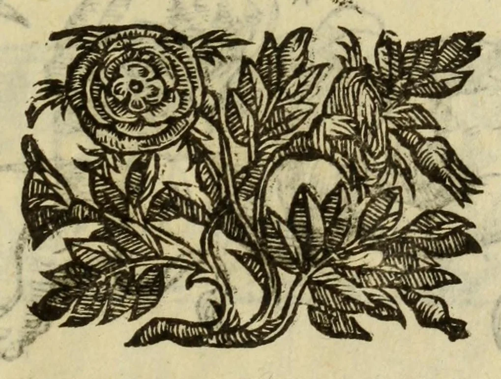 An illustration from Le vere e nove imagini de gli dei delli antichi, 1615, leaf 653