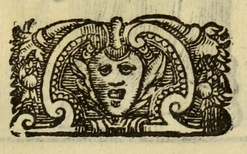 An illustration from Le vere e nove imagini de gli dei delli antichi, 1615, leaf 667
