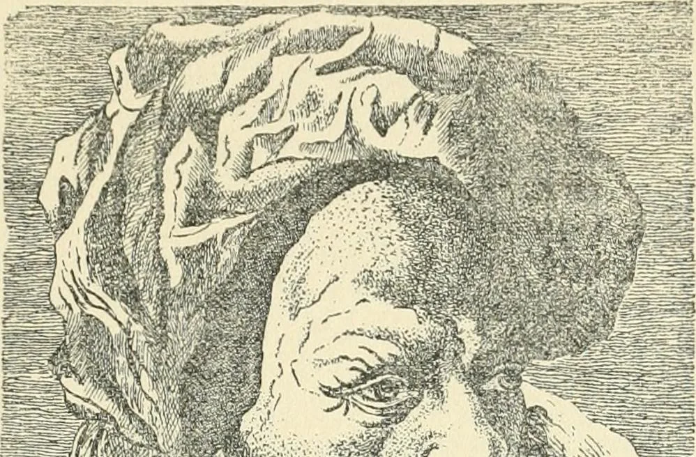 An illustration from Le vetrate di S. Francesco in Assisi : studio storico iconografico, 1911, leaf 96