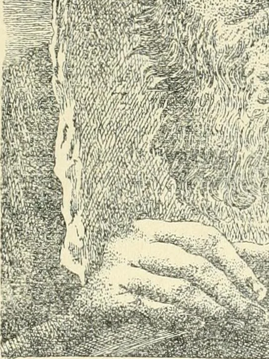 An illustration from Le vetrate di S. Francesco in Assisi : studio storico iconografico, 1911, leaf 96