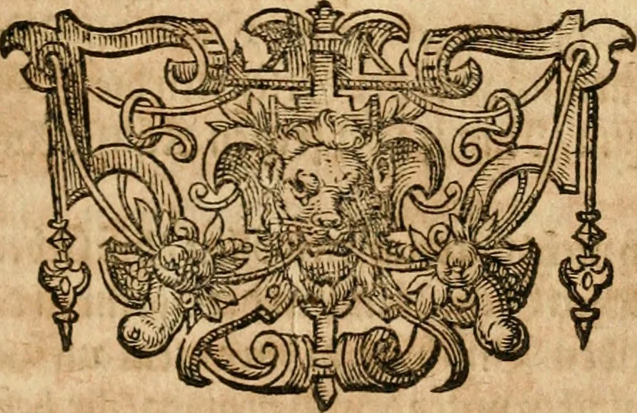 An illustration from Levini Lemnii Occulta naturae miracula : Wunderbarliche Geheimnisse der Natur in des Menschen Liebe vnd Seel, auch in vielen andern natürlichen Dingen, als Steinen, Ertzt, Gewechs vnd Thieren ..., 1605, leaf 554