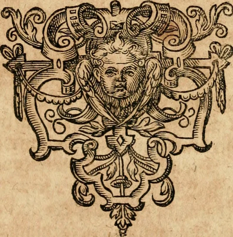 An illustration from Levini Lemnii Occulta naturae miracula : Wunderbarliche Geheimnisse der Natur in des Menschen Liebe vnd Seel, auch in vielen andern natürlichen Dingen, als Steinen, Ertzt, Gewechs vnd Thieren ..., 1605, leaf 612
